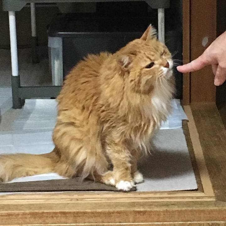 D421a2c9 31bb 4929 9f6d da3502c30118 1514368703753