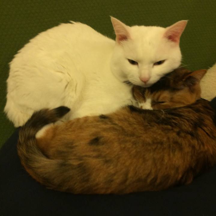 D421bde7 1599 4c31 ad10 c36b1f4429fd 1518870603268