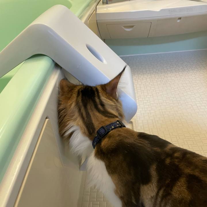 D4226210 611d 4136 bab1 d6c6fc608b2c 1659533401529