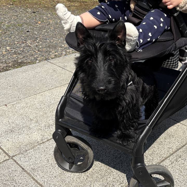 D42264bf c34f 411f 8495 cfd9c2d618d7 1774626369028