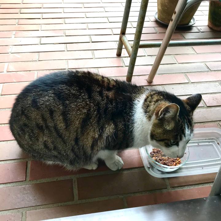 D422805a c934 4192 b75b 65299604bea1 1516413949585