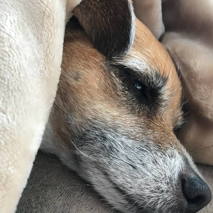 D422a851 01a1 4eda a9e1 3389b9d7270d 1522111695072