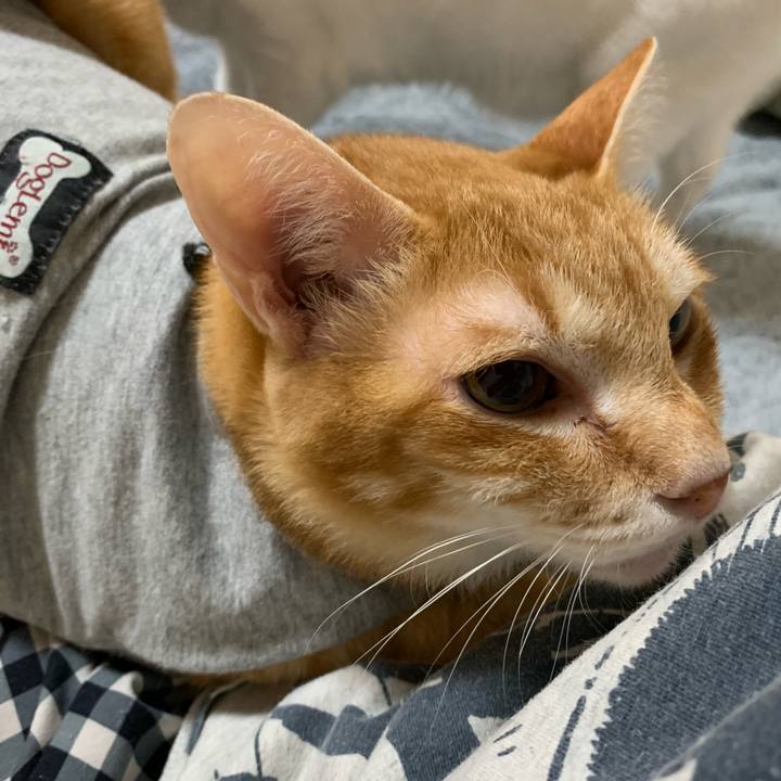 D422a9e6 e22f 4bb0 ae2d b965042467b6 1637788328597