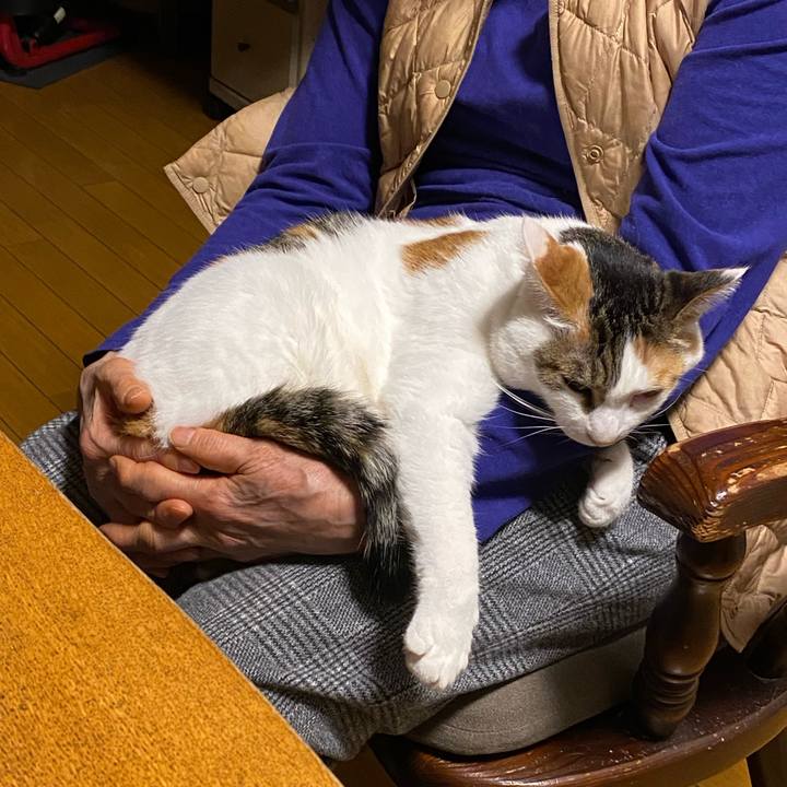 D422d568 4d7f 443c 923f 4d977281d500 1771587174979