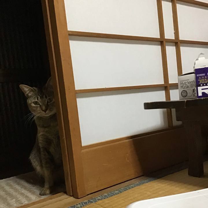 D422da72 dfc6 4b45 ac95 31db442e1153 1583842894192