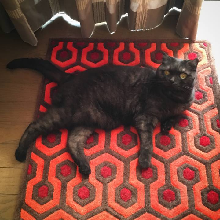 D422da87 fc6f 4946 92fe cba85f1ecf80 1533459530004