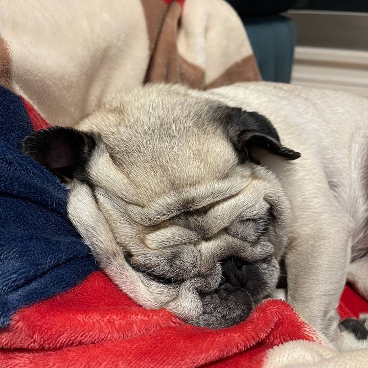 D422e599 b08d 47c0 968d 8363514a69dd 1766136420324