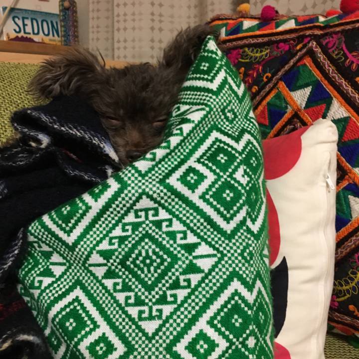 D422ea05 01e6 4897 b672 39beaabfff47 1517146603239