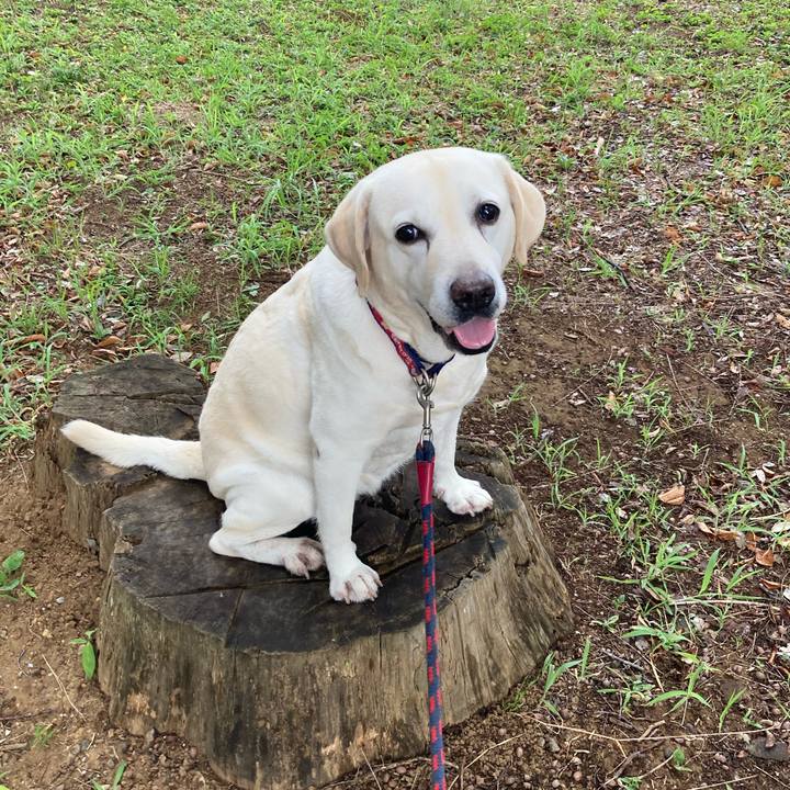 D4231d20 f10a 4bd3 bd39 a0ac30a91af5 1754555766561