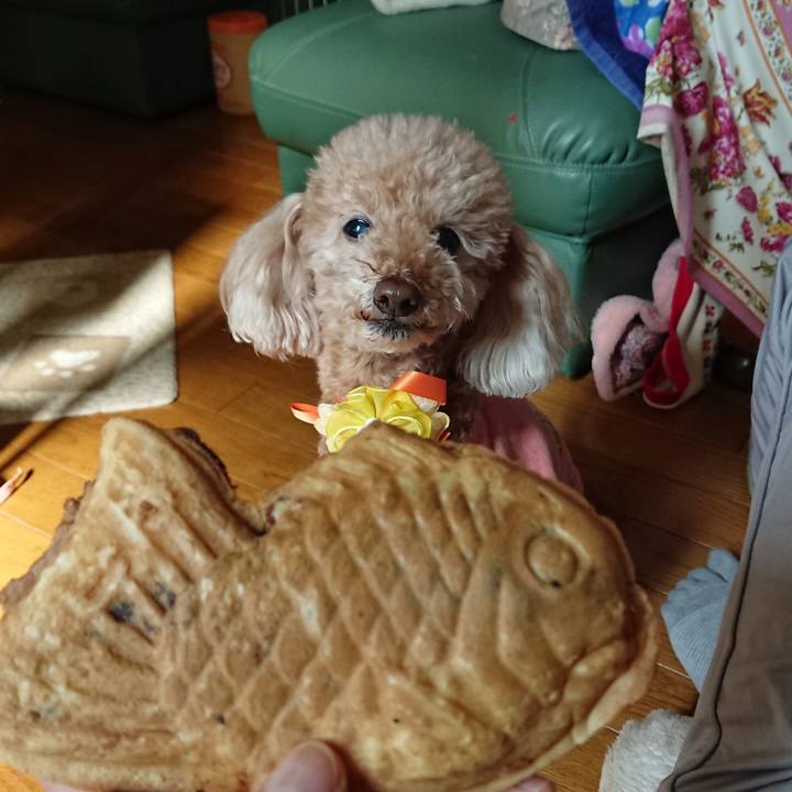 D42367bd 3193 4c0e acdd d08cfb56ed9d 1583988071119