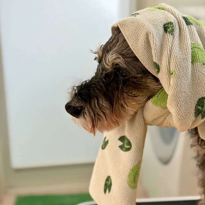 D42377d1 150d 48cc b086 a3aeabf288e9 1769063011748