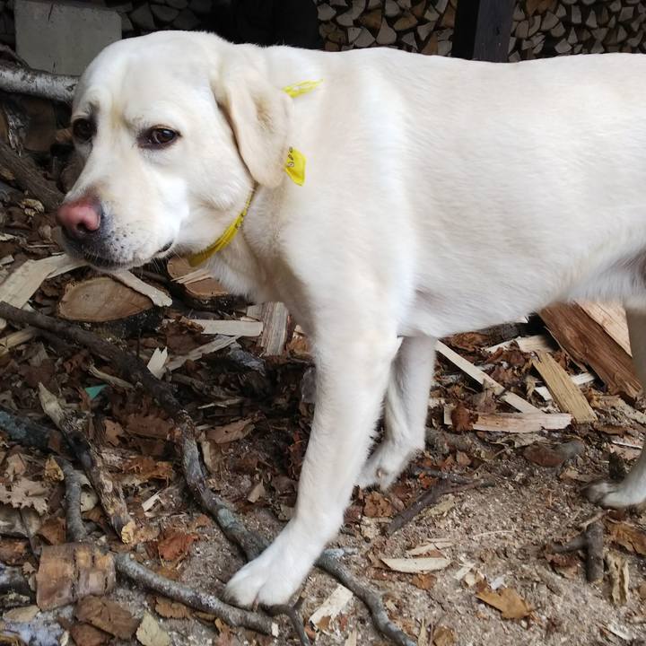 D423b091 0137 4e81 8437 ac5b963bfa73 1515399937176