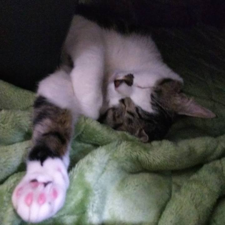 D423ffe7 a943 44ce aa43 33218fe59f31 1640934835791