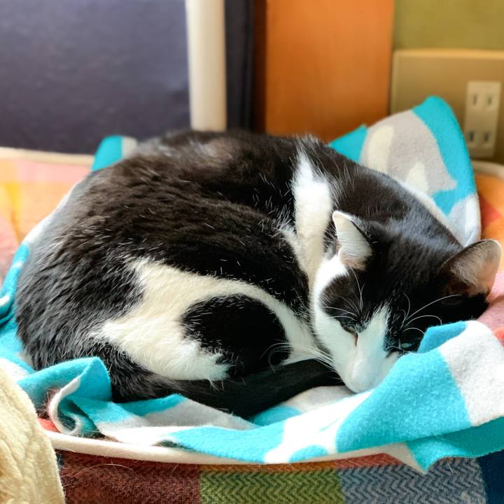 D4240de4 a805 435c 9fbc 28c5555022b8 1578270610120