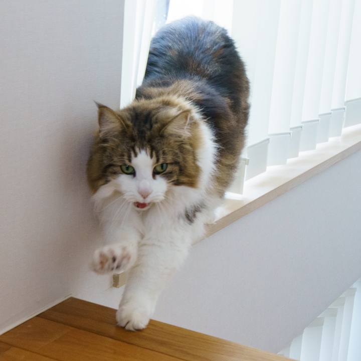 D4243cb9 8a93 432a 90f8 6ac0c53caa4b 1647333974260