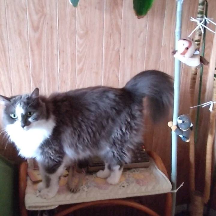 D4244d9b 7fee 4bbc aec7 a5bf2671c052 1658319262218