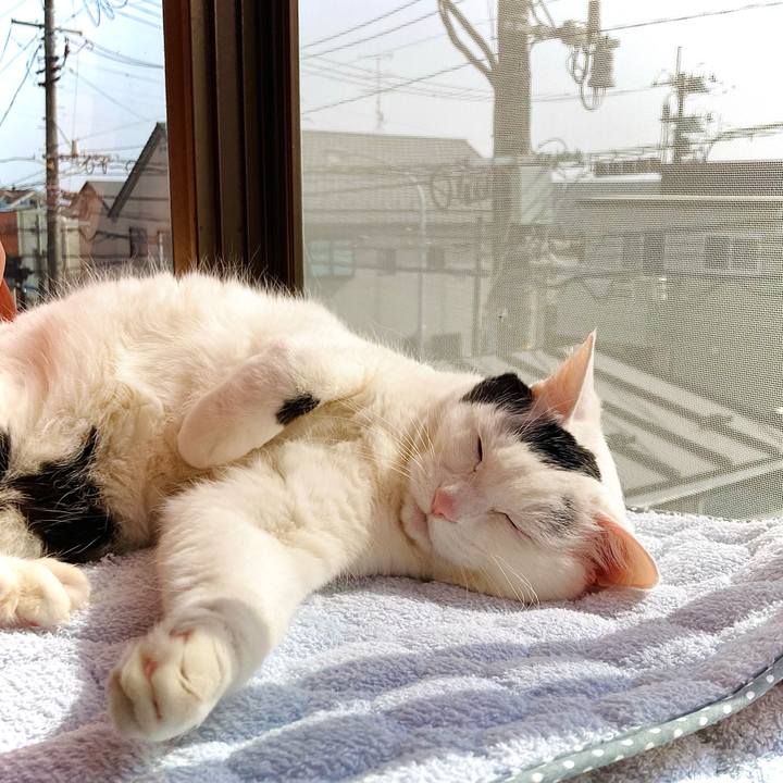 D42468a8 0340 4206 812e f5d5146a90c4 1678515026620