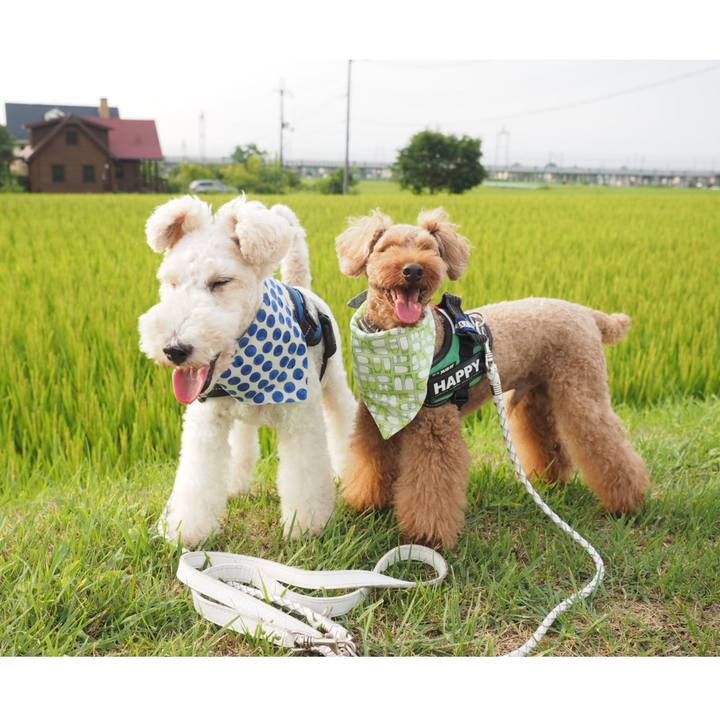 D424a05f 2418 4e60 91eb 1bfc00fd158a 1564877592346