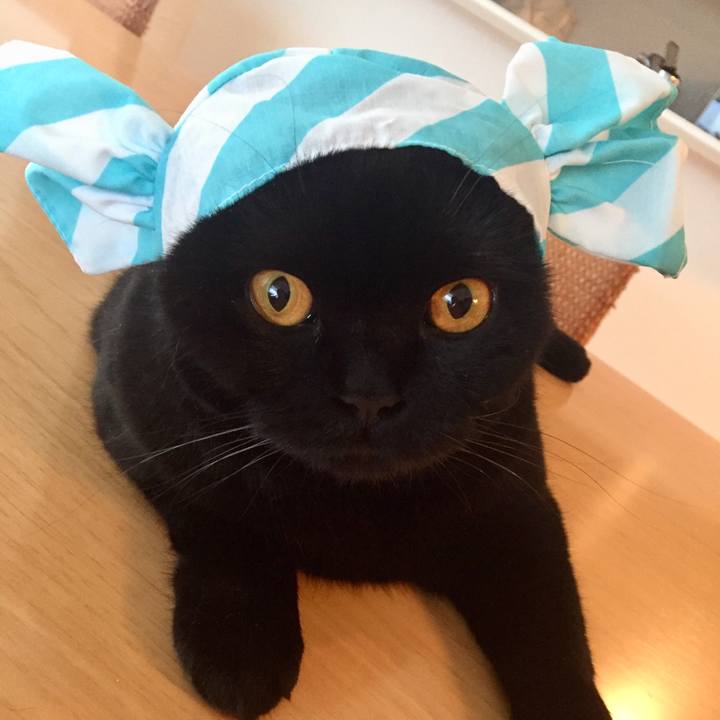 D424c56f 687c 4ac1 8c57 6050c606f47d 1525079120786