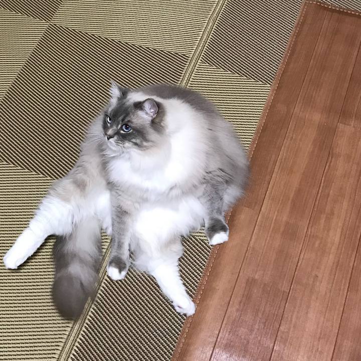 D424dd5b bf1d 426c a74d 79c7c0d2c153 1519656074342