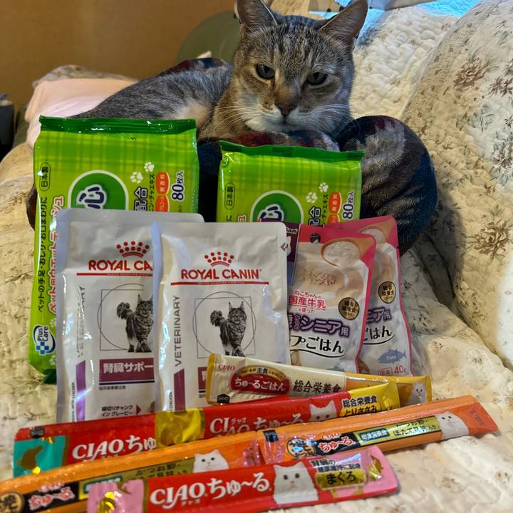 D42504ab 9ce7 409d 92ae c2c3fe09aa6e 1707346464458