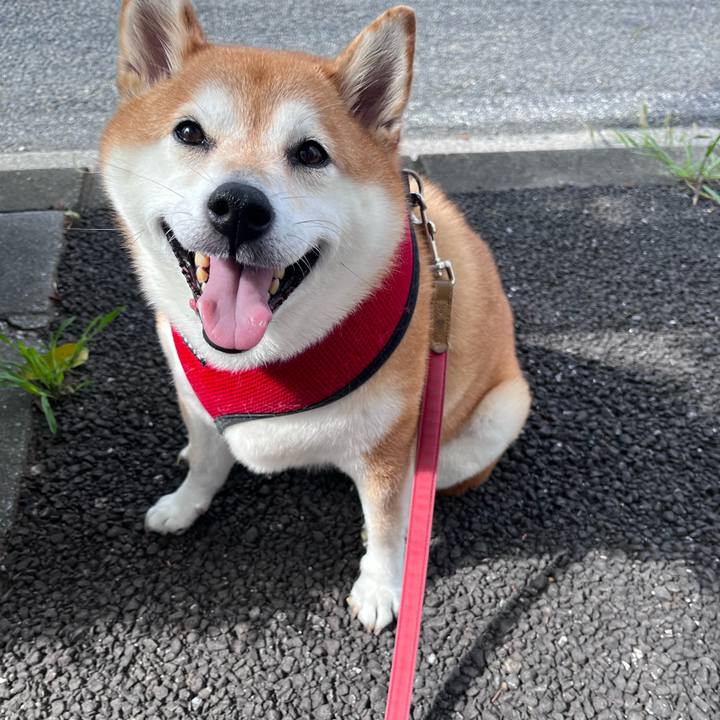 D4250b57 2d89 4827 a310 364ccc011c79 1696207124831