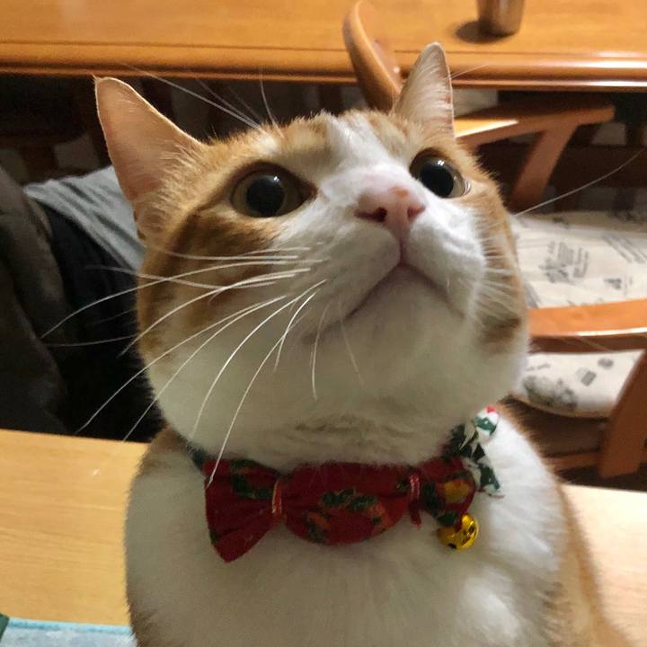 D42547e7 c88e 40e2 bb8a 38ed782bb731 1576069205144