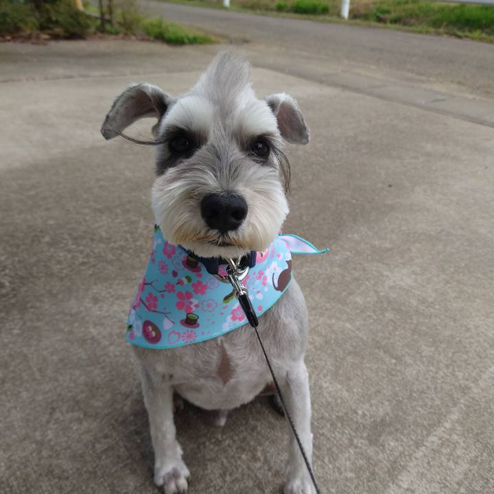 D4256e70 da20 4b9c 8f3b 7c093c90690b 1776328490209