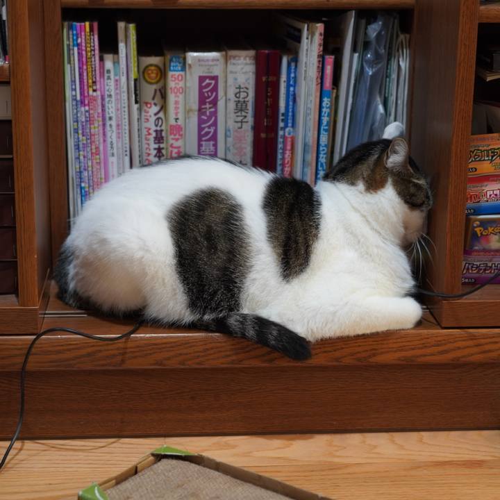 D4257ffa fc6f 4abe b845 4d76abf83b84 1630740800528