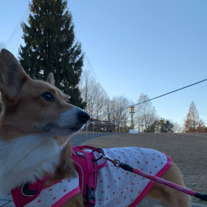 D425f0c5 7cc9 450c 8599 5f350b40341c 1608716911169