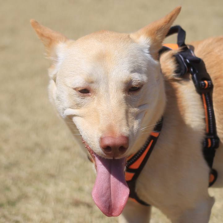 D425fbcf 1dd7 4a02 9782 73d25be58b1f 1522146876387