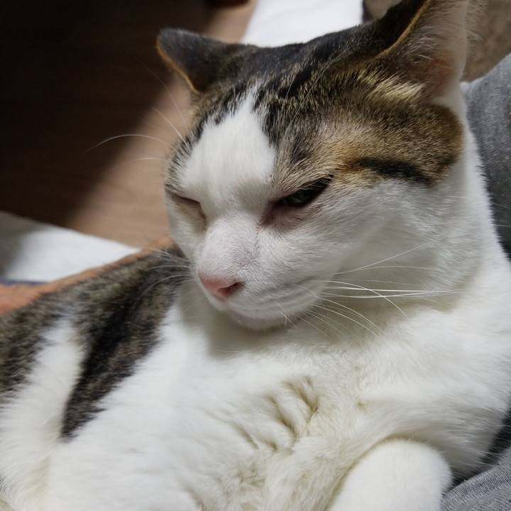 D4261ce0 e7e1 4048 b8de 54bab33ca5cb 1585484374623