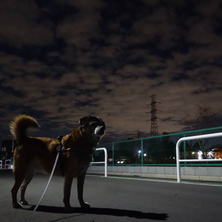 D4262896 8281 4edb a359 804f10eae285 1546251327147