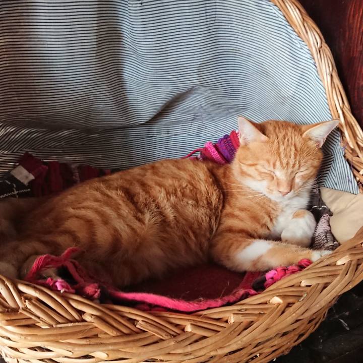 D4263347 fe8f 457b 86e2 c667c4389f09 1569207440906