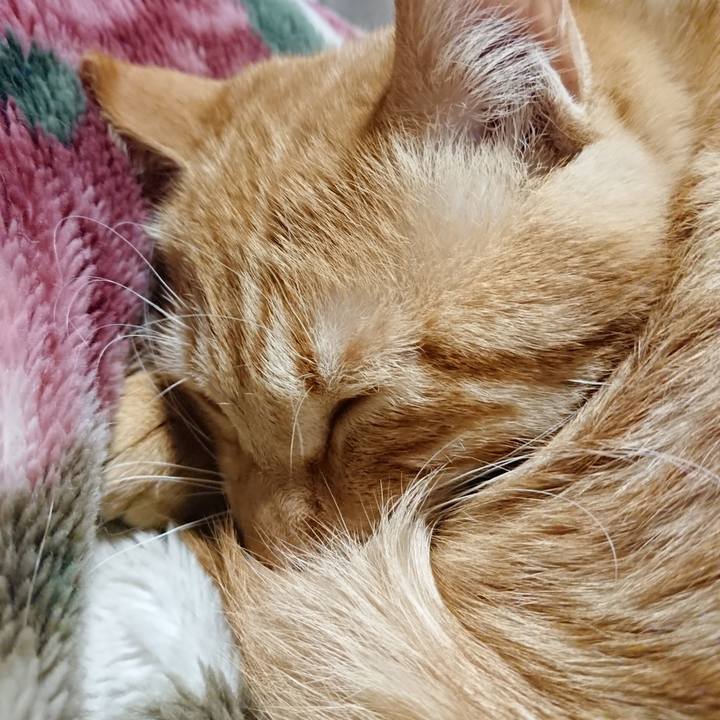 D42661bb 2cf8 4182 8471 cf43aa3cb6b9 1643633489908