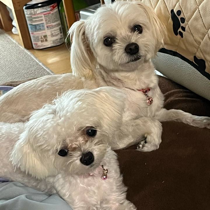 D42683df d866 4156 9172 a9516d71a081 1724155788338