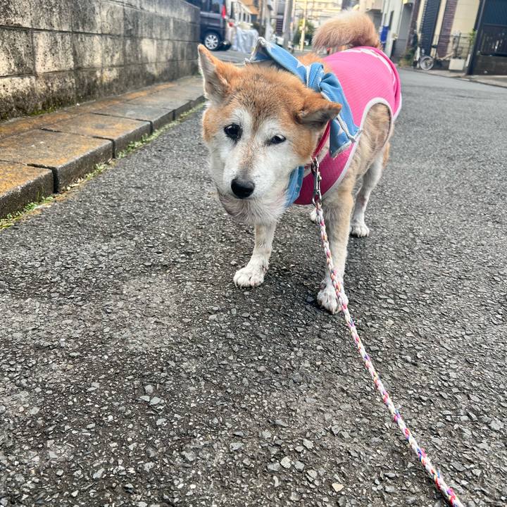 D4268da0 8d32 4a54 b81c 96035bcf09b9 1763102975366