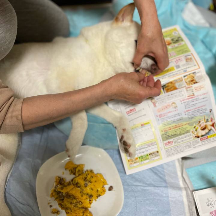 D426a23b 62b2 4c9d aaa4 fda8b95aa912 1652439656956