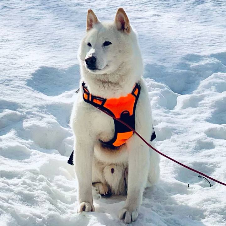 D426ad81 3fa5 4e0c 89a3 eaae391c98f4 1615944968225