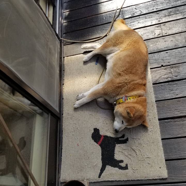 D426b042 2e21 44f6 aee0 47c7c6088efb 1682897661400