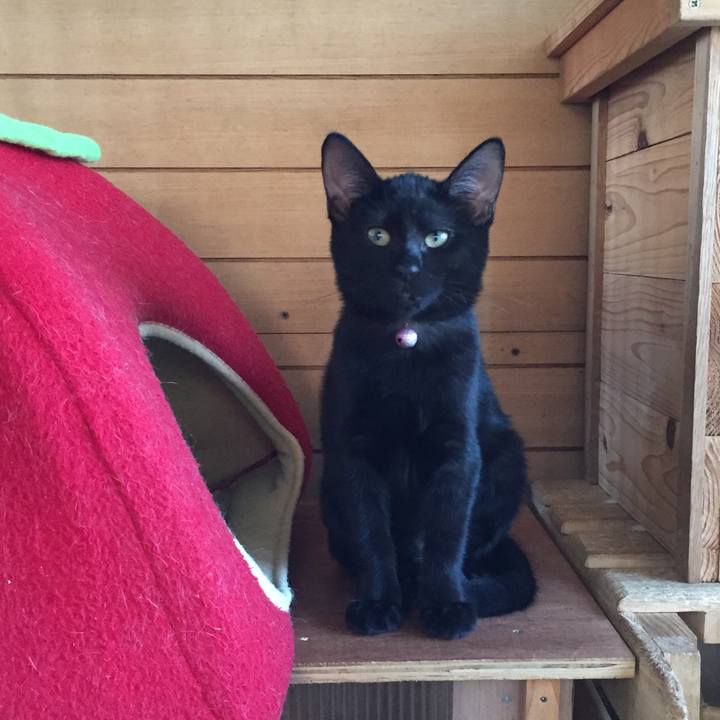 D426b675 d429 454d a722 d20423616b6a 1570755227015