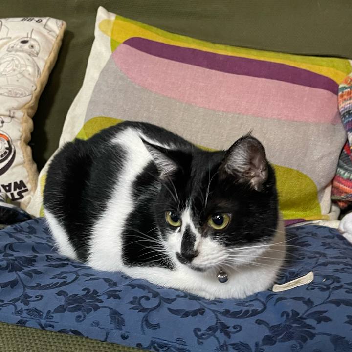 D426bcf3 87fd 46c6 961f 574005fa4c99 1760153327272