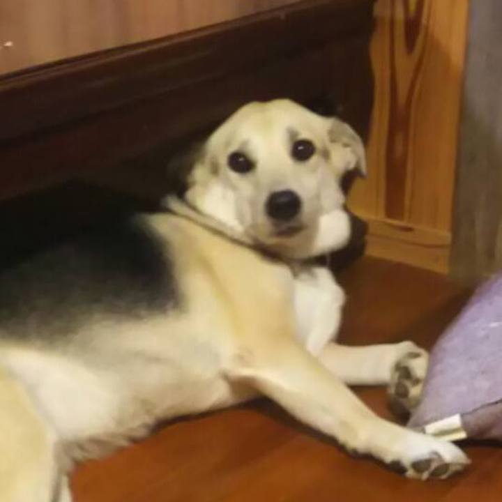 D426f7bc 5ba1 41a6 8baf 5604bdd9e9ae 1512823720395