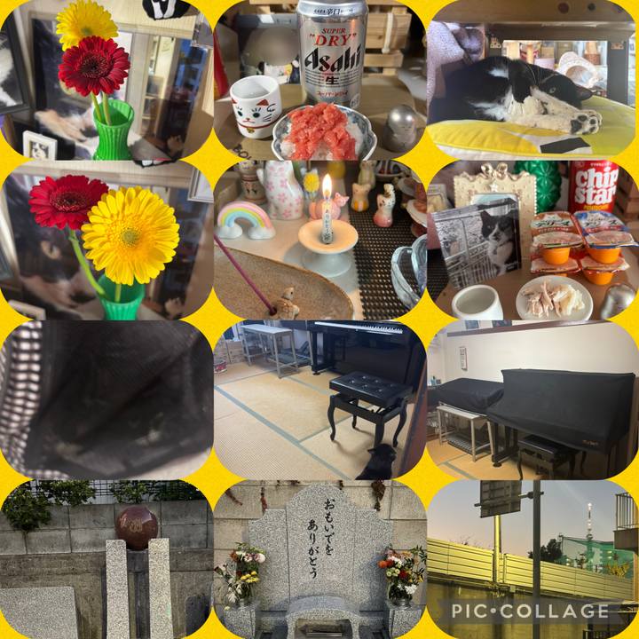 D4270205 bb7d 49ec aeee 555d195385bc 1763724154664