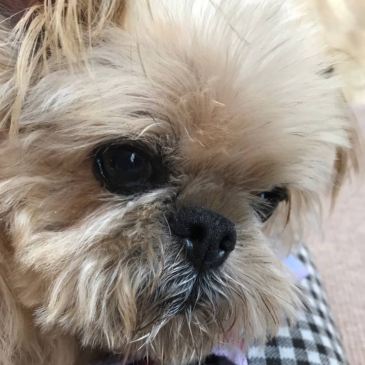 D42719ae 7074 4ec8 9cd9 345ac167622d 1590822791818