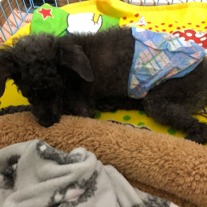 D42792d4 080d 49f2 bbba 7f853233c73e 1570141192746