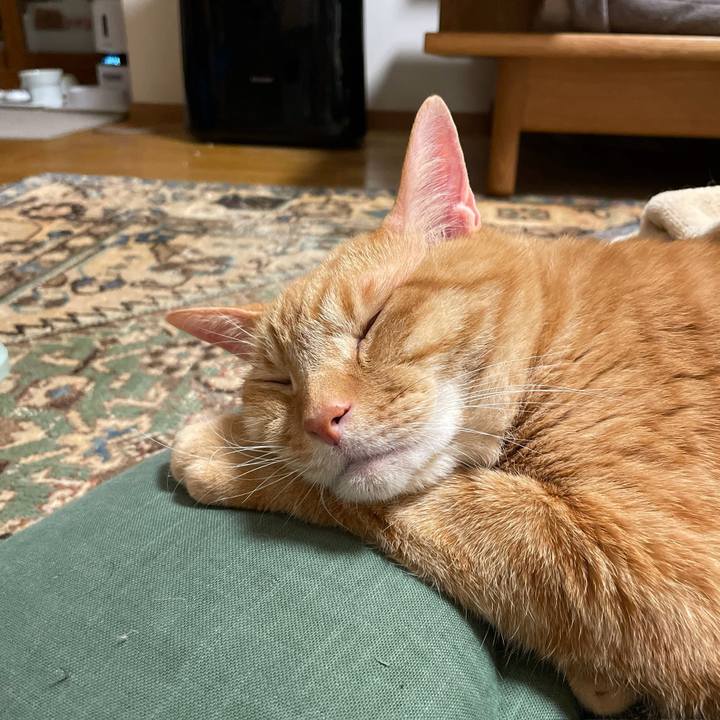 D42793ba b0c2 4023 90fb 778a257d5c42 1765166800456