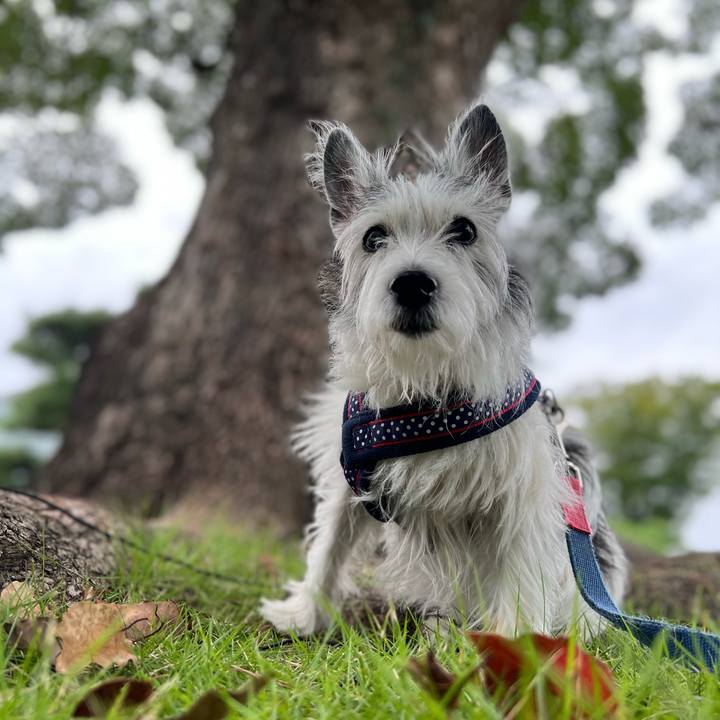 D427b0ea 93ea 40f8 8a4b 791f231185fb 1665316961816