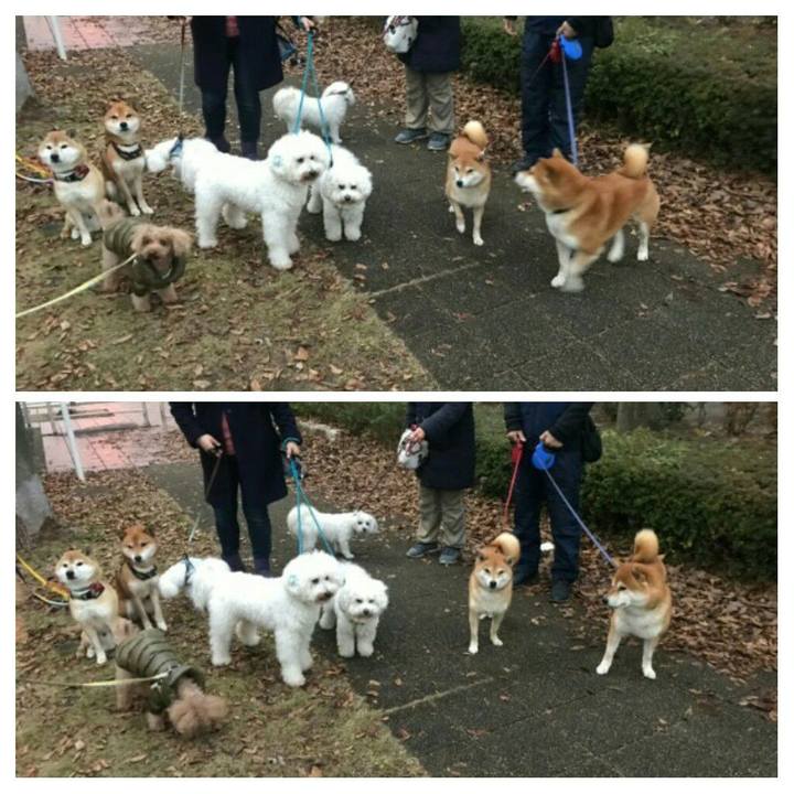 D4280c7a 2d42 415a 9dc2 1755b7e91398 1576754338322