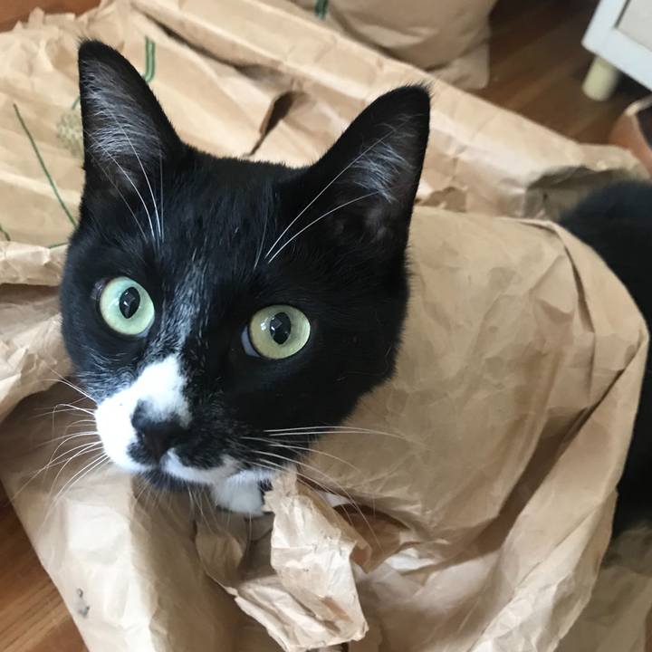 D4282a1f 7bfb 4f2d af5b 68d5b137d1b9 1573099047756